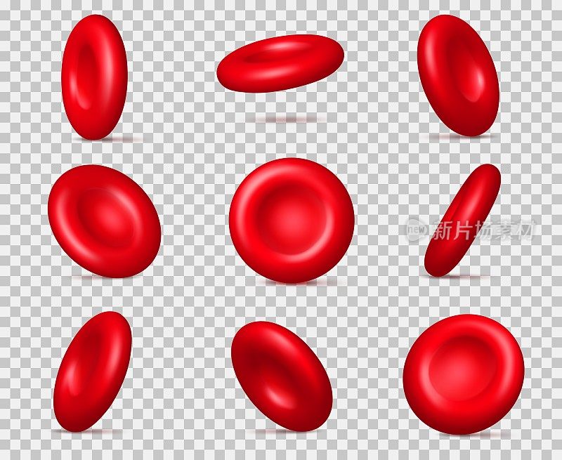 真实的红细胞。3 d红细胞分子。血红蛋白微观粒子。不同的观点角度。混凝和氧输送。向量循环小体集